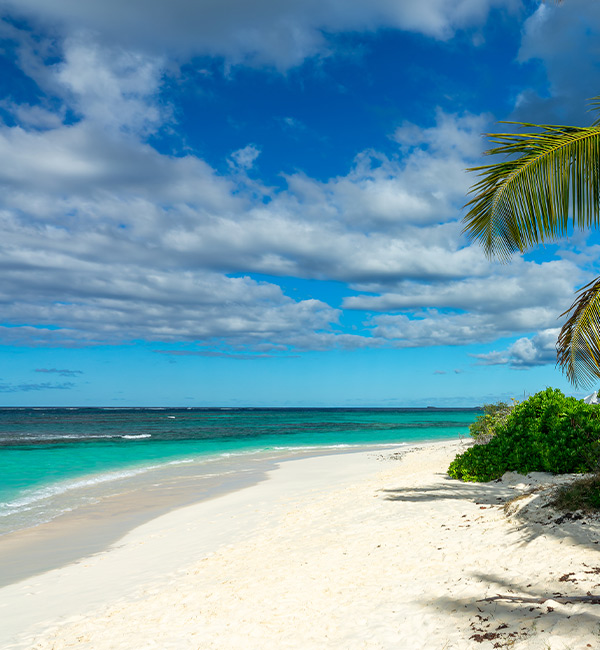 Anguilla, joyau préservé des Caraïbes