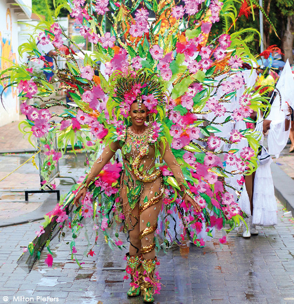 Le carnaval  à Sint Maarten