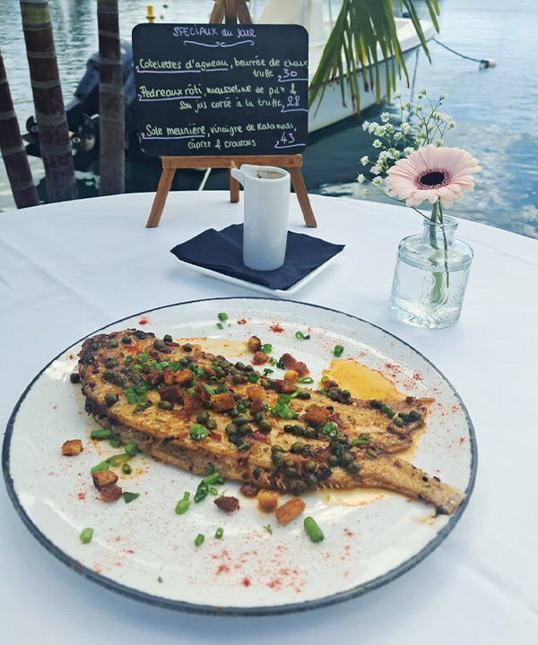 Saveurs créatives et ambiance raffinée face à la Marina