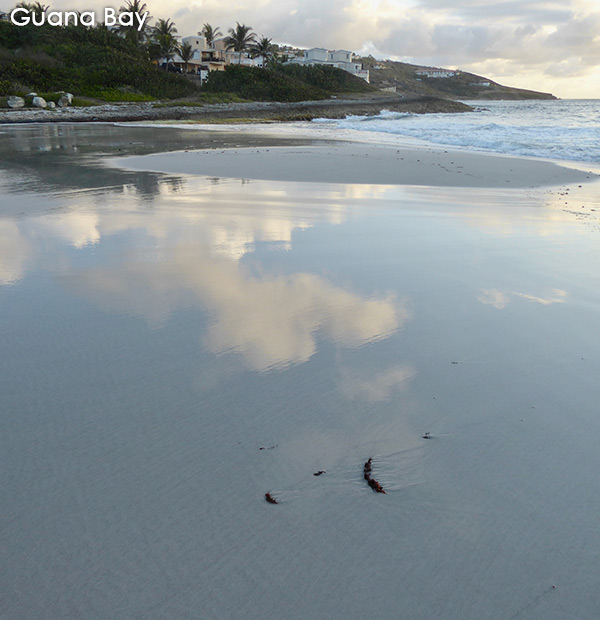 Guana Bay