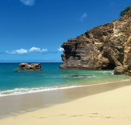 Venez vous ressourcer sur l'Ile au 37 plages