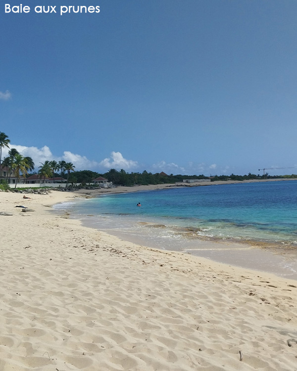 Baie aux prunes